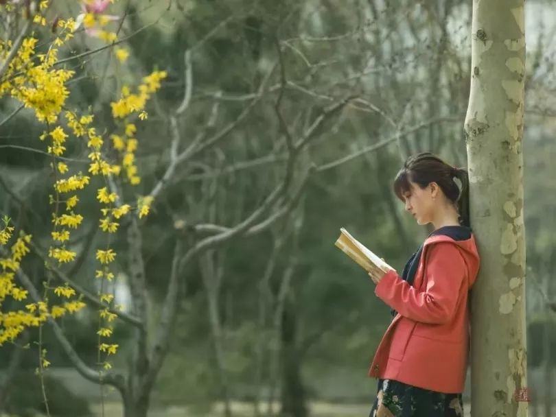 电子科技学院校长_电子科技职业学院校长_电子科技职业学院 李明明