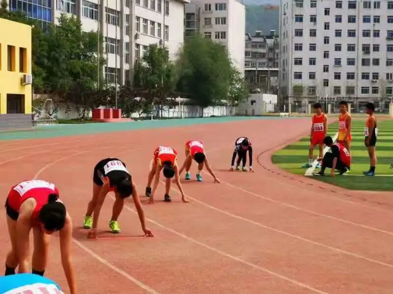 双桥区人民政府部门动态双桥区举行第23届中小学生田径运动会