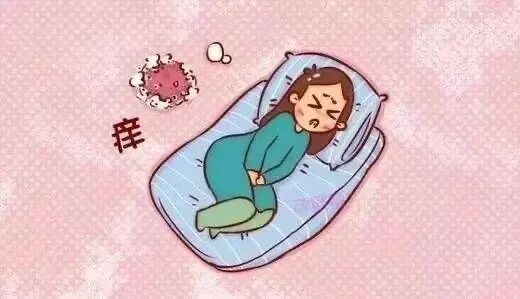 AED怎么自检阴道炎自检，您学会了吗？_https://www.jmylbn.com_新闻资讯_第3张