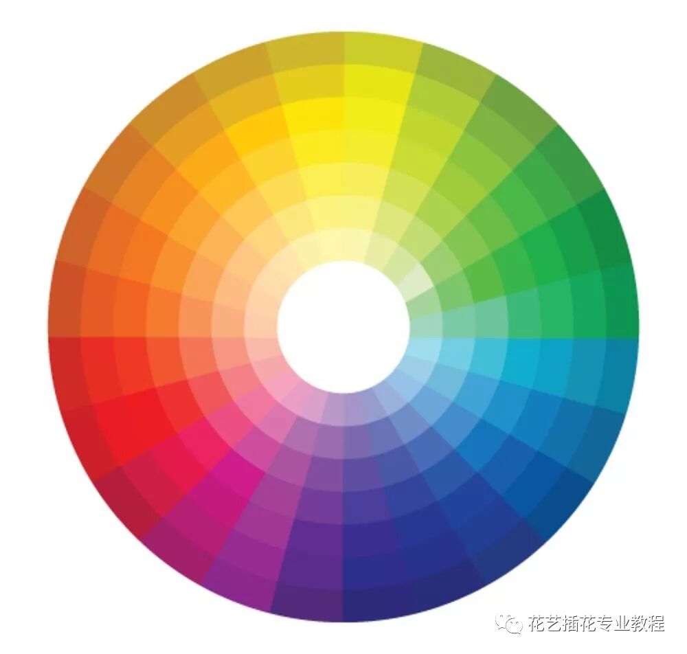 花艺色彩搭配教程（一）