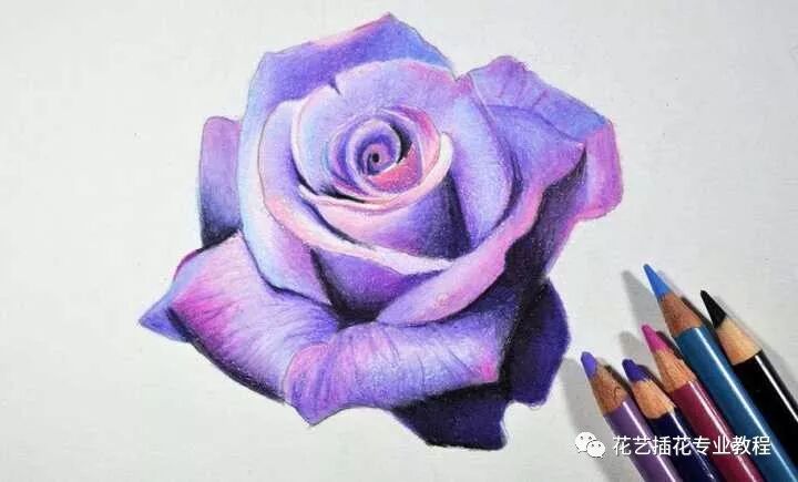 花与画相结合，构造出无数奇幻多彩的艺术世界