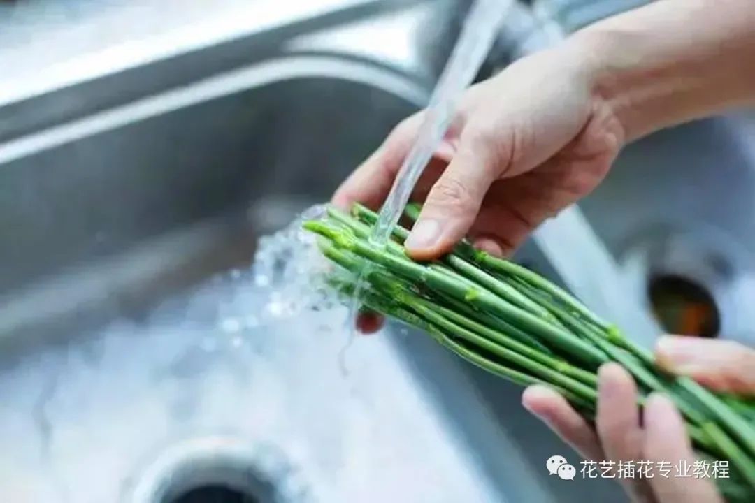 鲜花养护_玫瑰鲜花养护_鲜花养护保鲜法