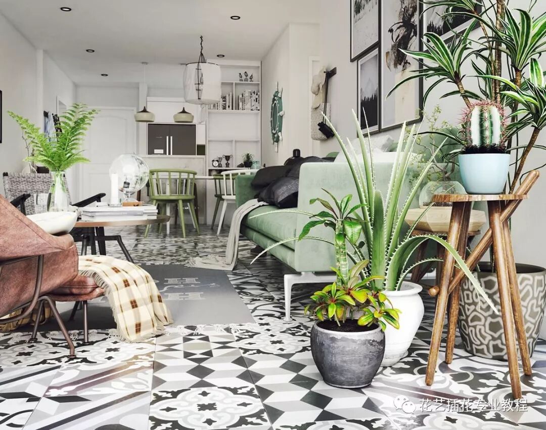 植物养护通用技巧，快来看看吧