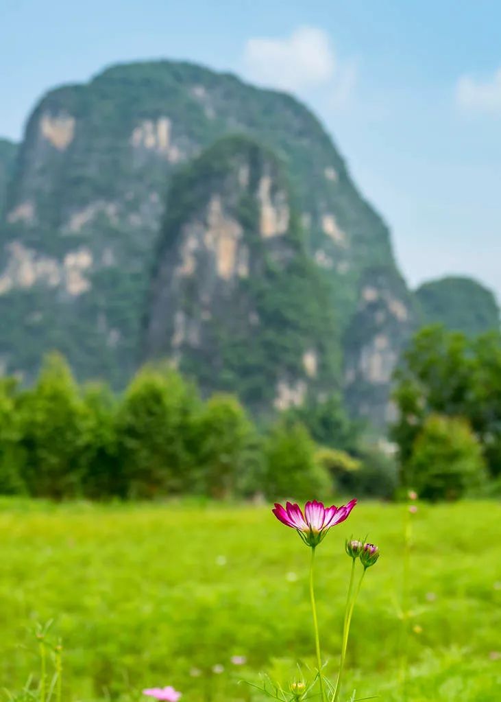 忽然，想去廣西了。 旅遊 第17張