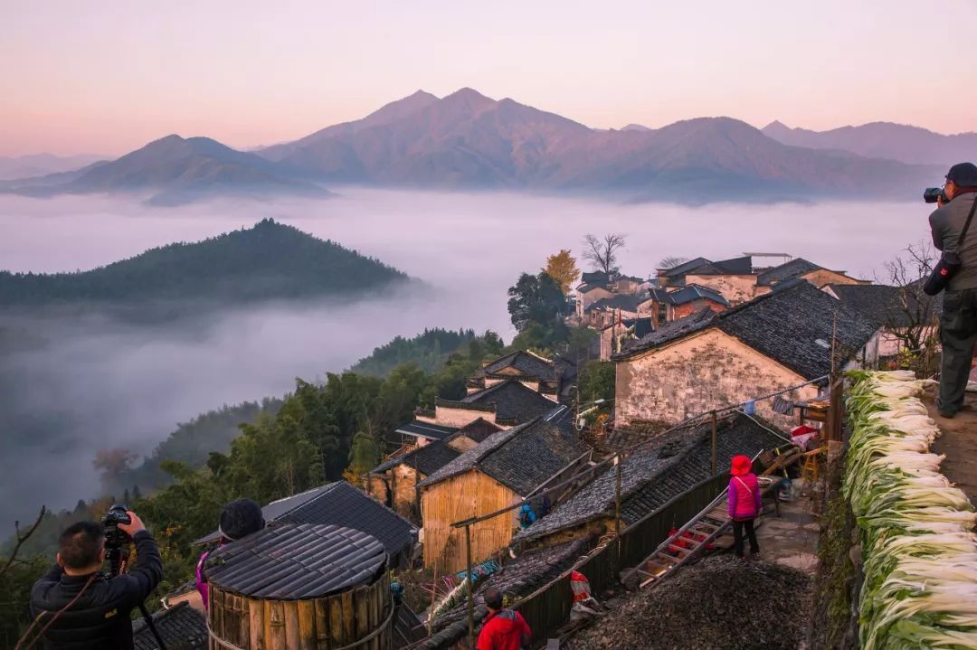 西塞山前白鹭飞下一句_白鹭飞西塞山前白鹭飞_西塞山前白鹭飞什么流水