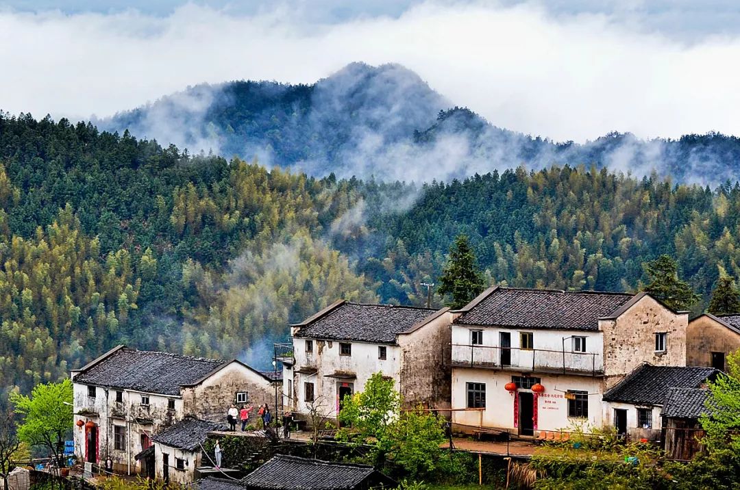 西塞山前白鷺飛什么流水_白鷺飛西塞山前白鷺飛_西塞山前白鷺飛下一句