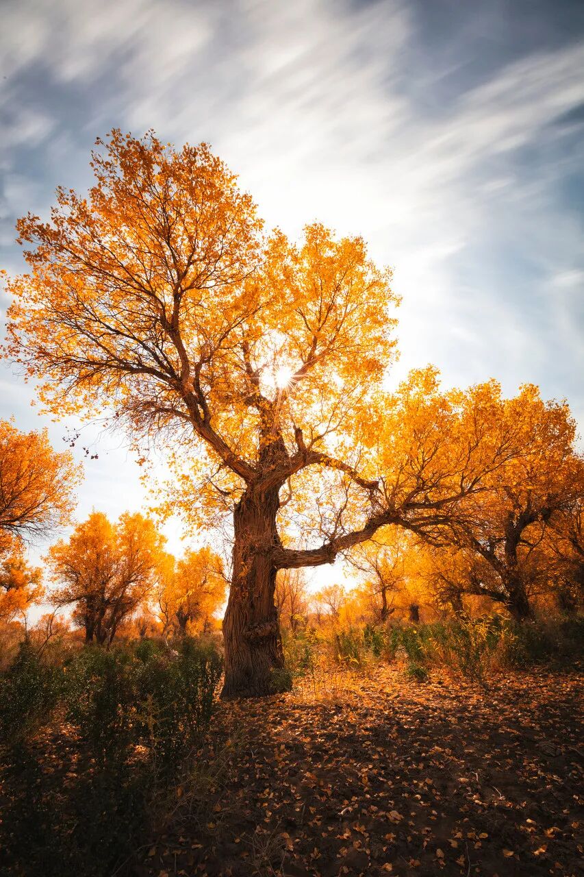 [地方志]1107未来30天最值得去的旅行地，错过再等一年。-BB姬