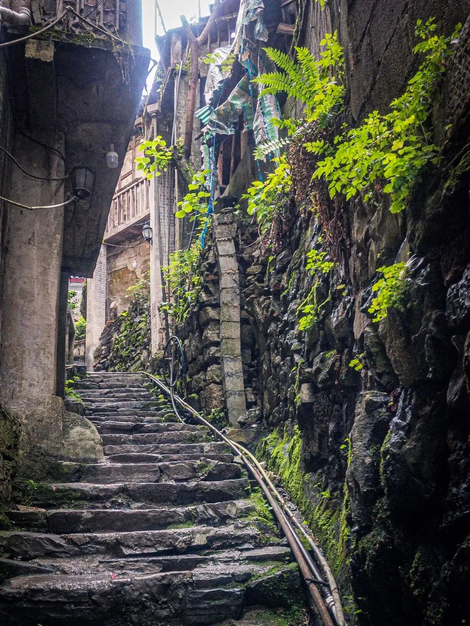 等一個人，陪我去湘西 旅遊 第47張