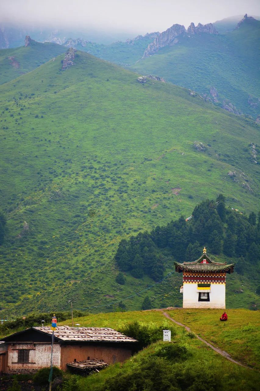 忽然，就想去甘南了。 旅遊 第10張