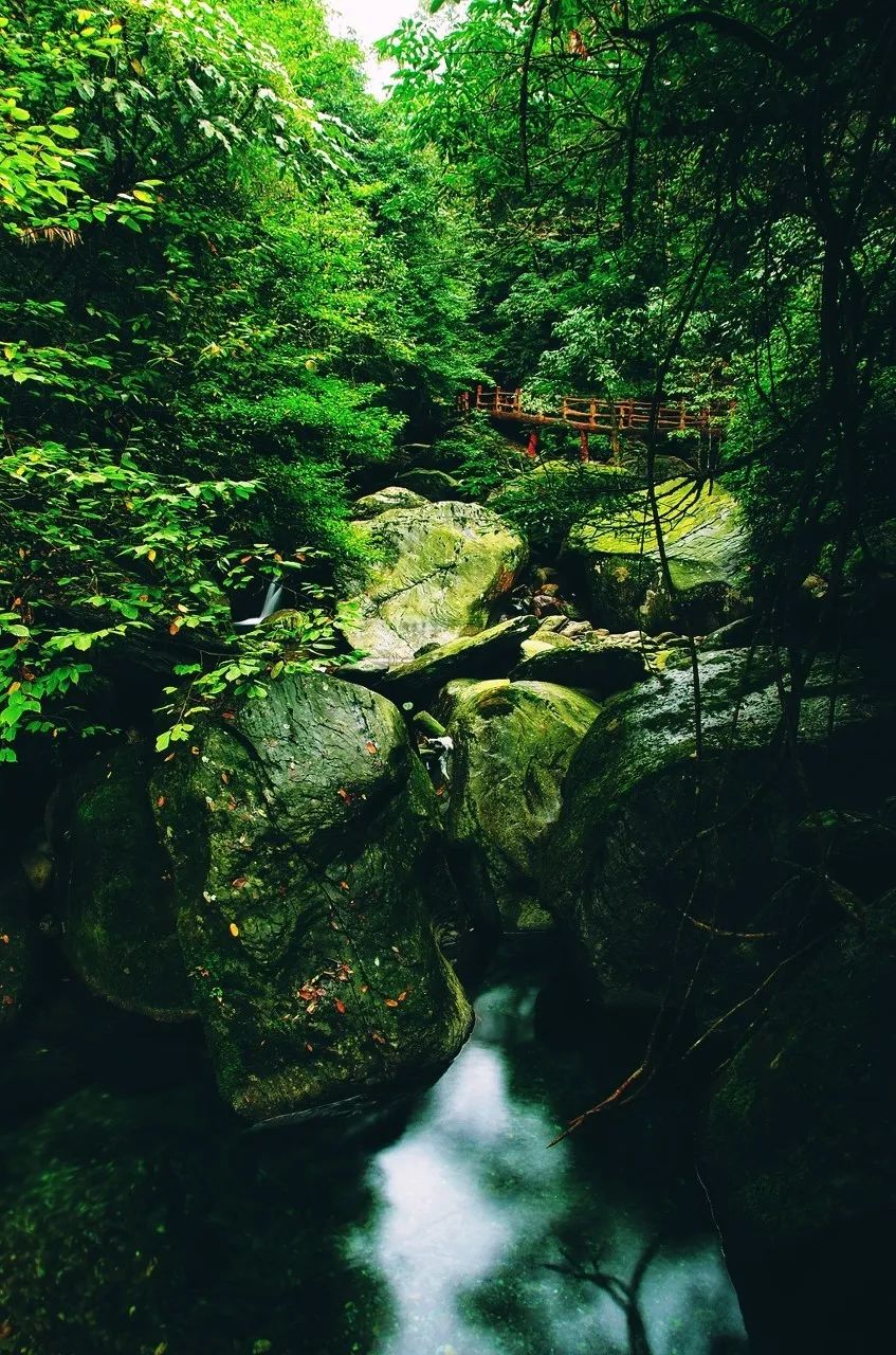 貴州藏著「遺落人間的仙境」，上榜《國家地理》，終有一天將驚艷眾人！ 旅遊 第28張