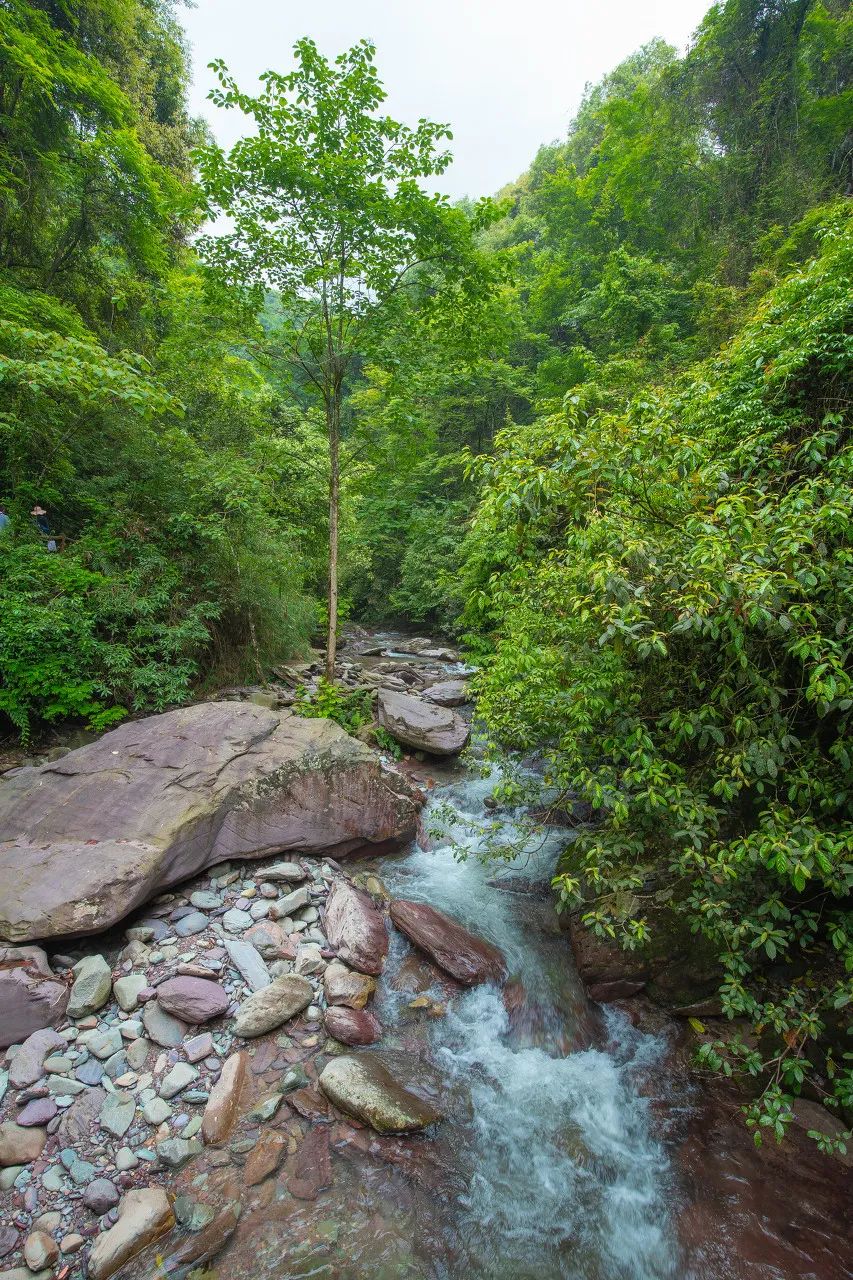 貴州藏著「遺落人間的仙境」，上榜《國家地理》，終有一天將驚艷眾人！ 旅遊 第25張