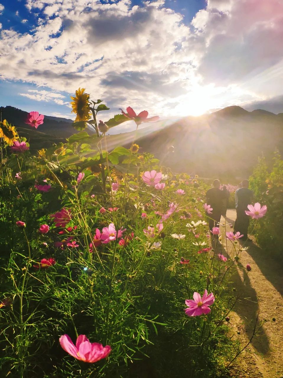 忽然，就想去甘南了。 旅遊 第20張