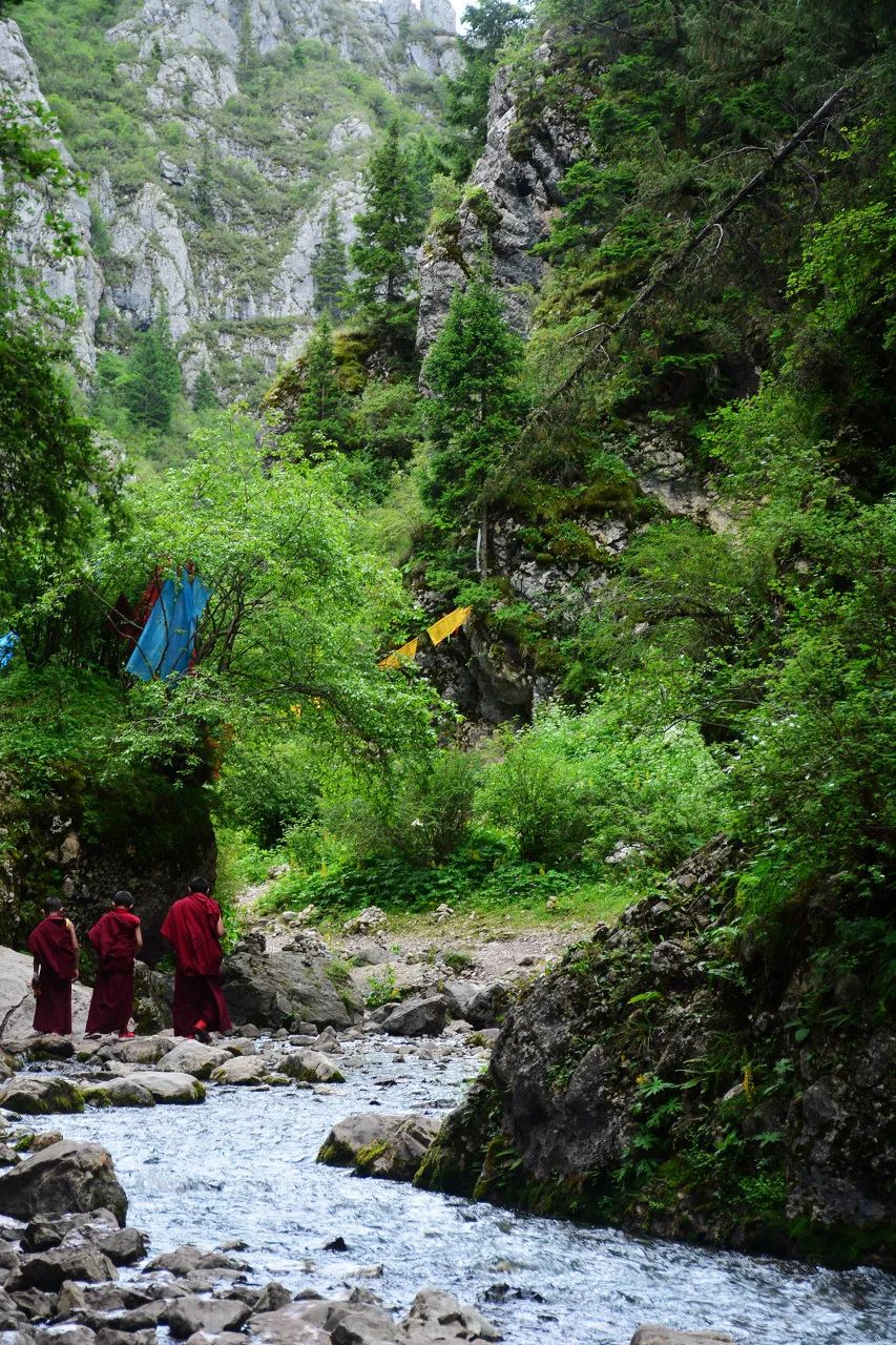 忽然，就想去甘南了。 旅遊 第58張