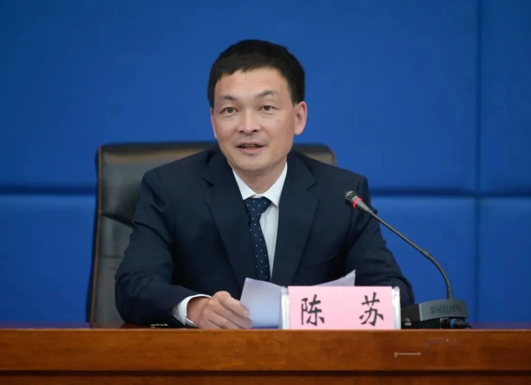 80后陈苏任厅长