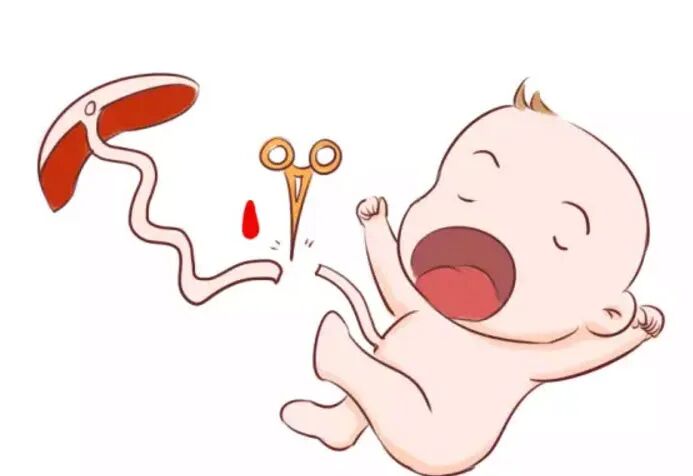 为什么剪脐带要先夹住宝宝的肚脐眼这么丑，是不是助产士没剪好？_https://www.jmylbn.com_新闻资讯_第6张