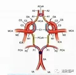 彩色经颅多普勒是什么周围血管｜经颅彩色多普勒超声TCCD_https://www.jmylbn.com_新闻资讯_第11张