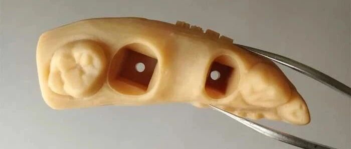 君和科技入驻未知大陆开店，专注齿科在线3D打印