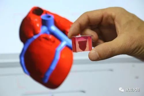 德國拜耳將使用3D列印的人體心臟組織測試新藥 健康 第1張