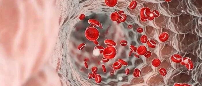 苏黎世科学家开发3D打印微型机器人，用于在人体内给药