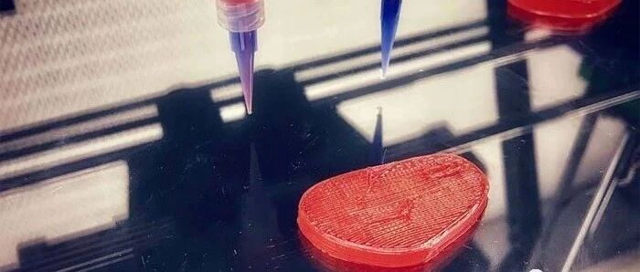 3D打印肉类替代品公司Redefine Meat获2900万美元融资