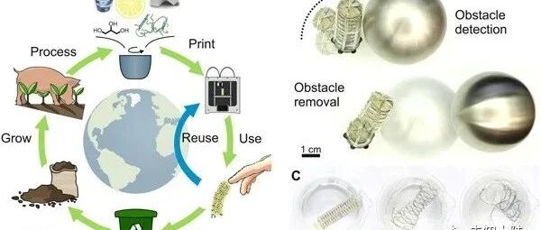 3D打印传感器网络集成软机器人，具有可持续性