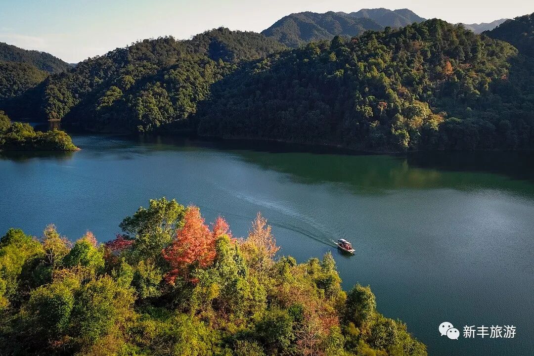 新丰县云髻红枫摄影比赛征稿开始了