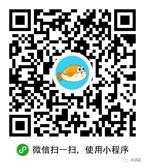 观赏鱼 大吉鱼_大吉鱼的做法_大吉鱼是什么鱼