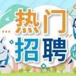 毕马威KDC热门岗位招聘！