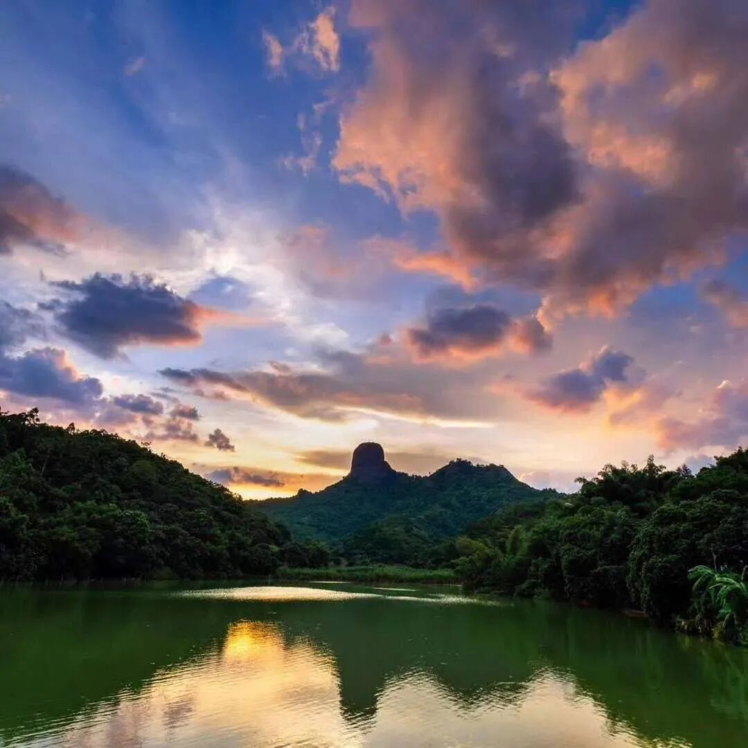 人勤春早谋新局德庆县回龙镇的乡村发展新蓝图提前曝光