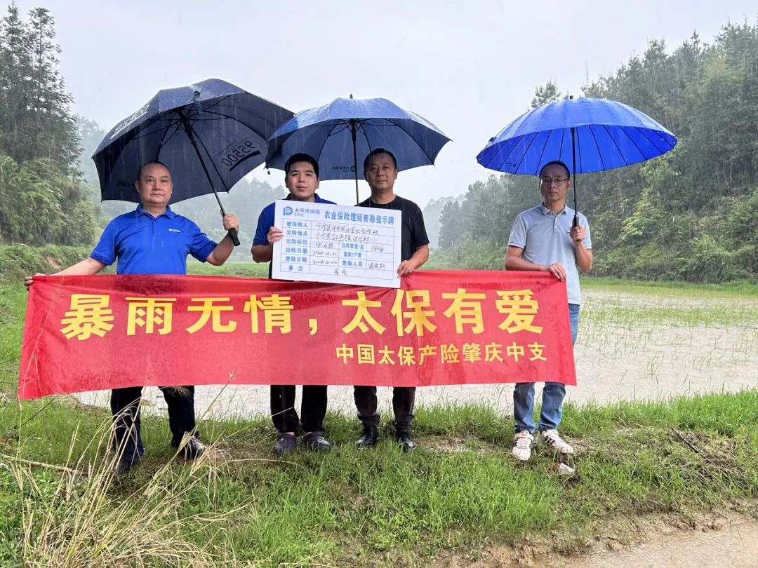 农业保险为农户"遮风挡雨"