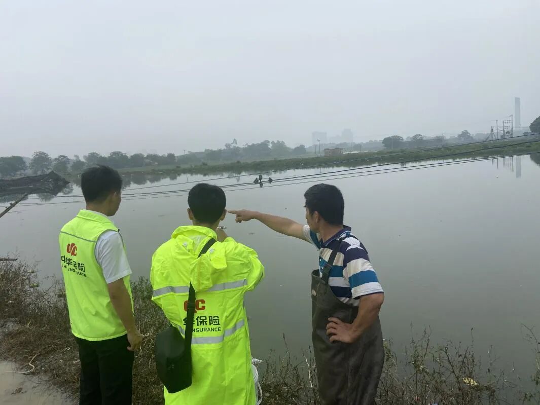 农业保险为农户"遮风挡雨"