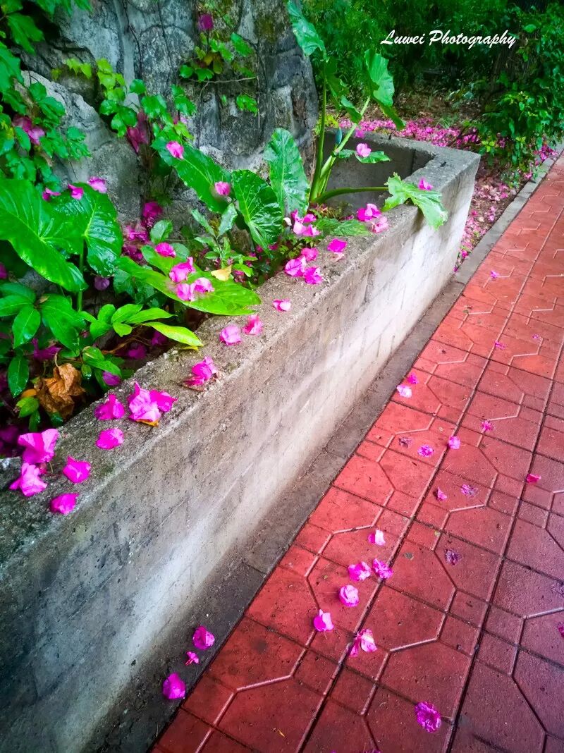 2018:随手而拍的景致（4月）