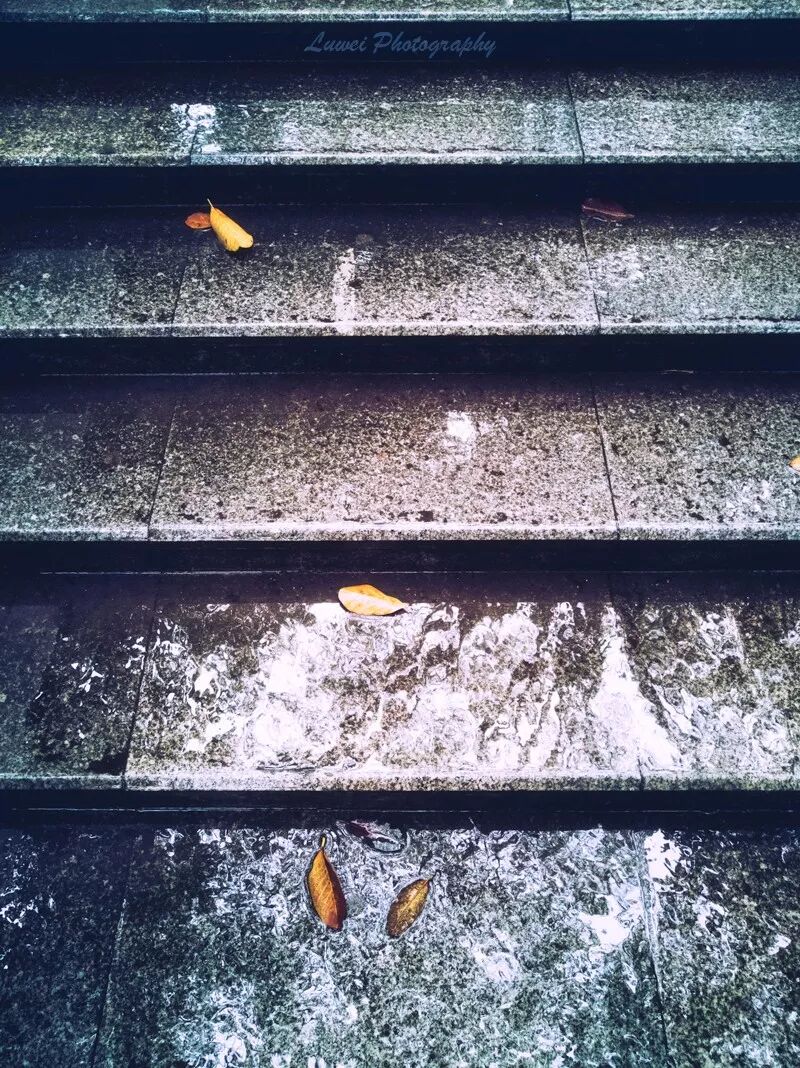 2018:随手而拍的景致(4月) 2018:随手而拍的景致(4月)