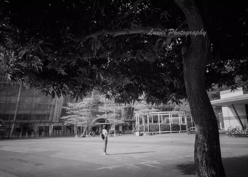 2018:随手而拍的景致(4月) 2018:随手而拍的景致(4月)