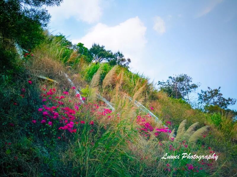 2018:随手而拍的景致(4月) 2018:随手而拍的景致(4月)