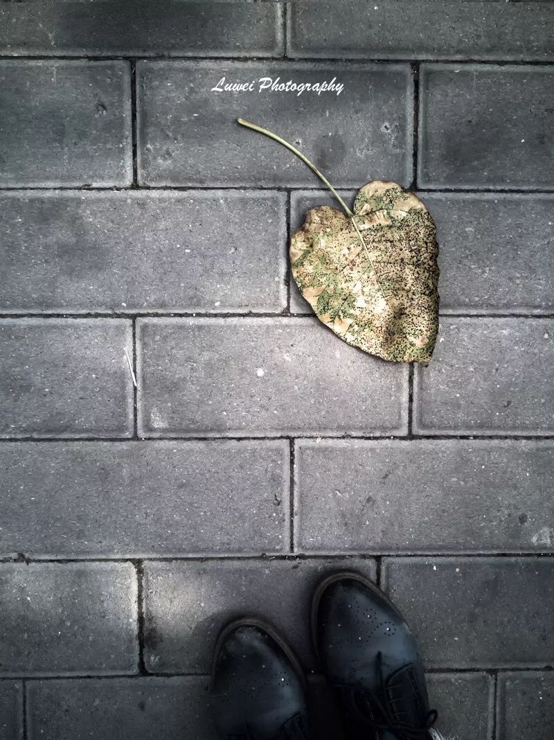 2018:随手而拍的景致(4月) 2018:随手而拍的景致(4月)