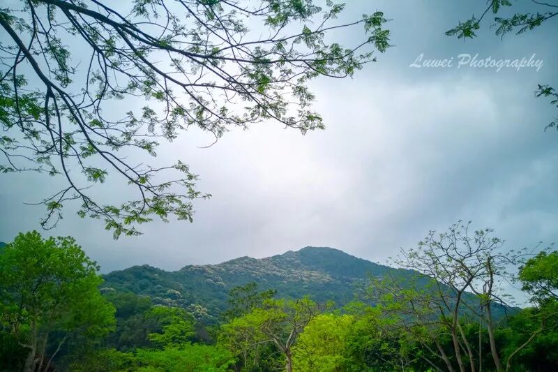 2018:随手而拍的景致(4月) 2018:随手而拍的景致(4月)