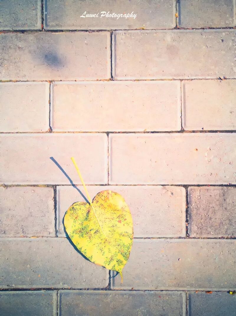 2018:随手而拍的景致(4月) 2018:随手而拍的景致(4月)