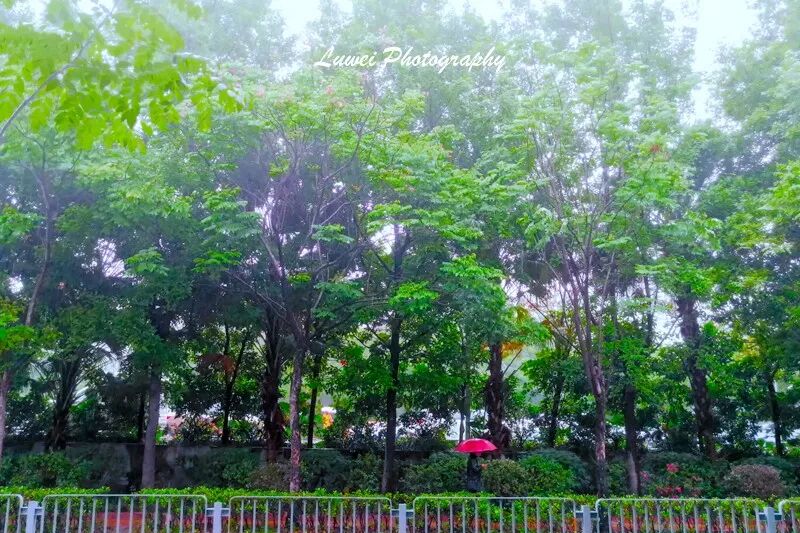 2018:随手而拍的景致(4月) 2018:随手而拍的景致(4月)