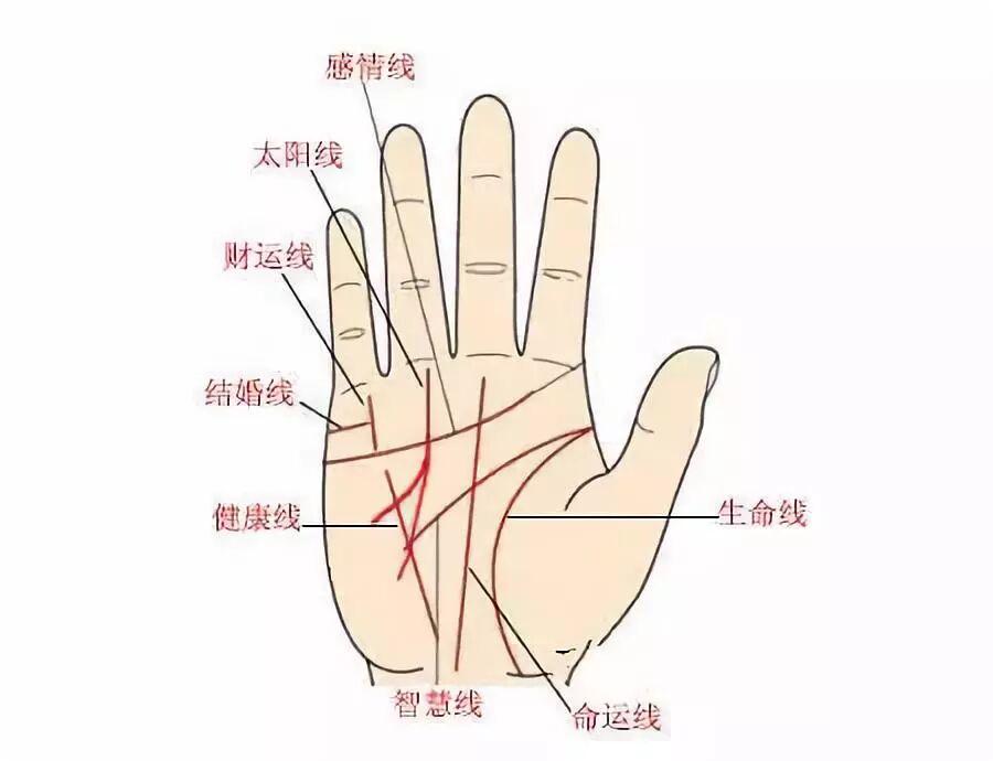 从手相太阳线看你能取得多大成就 教你看运势 微信公众号文章阅读 Wemp