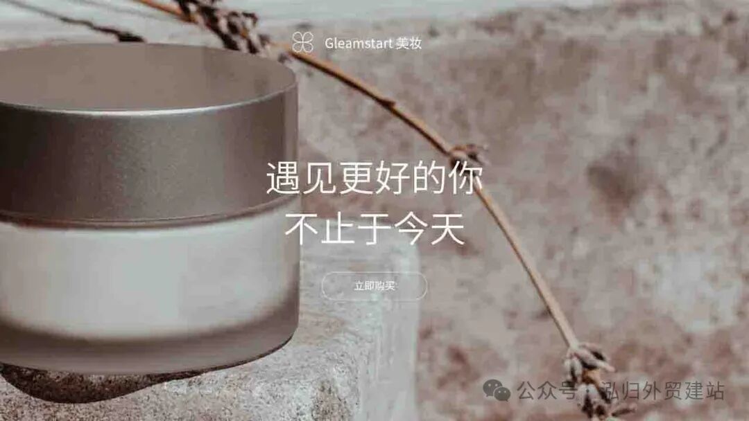 深圳网站开发公司：专业定制，满足您的个性化需求