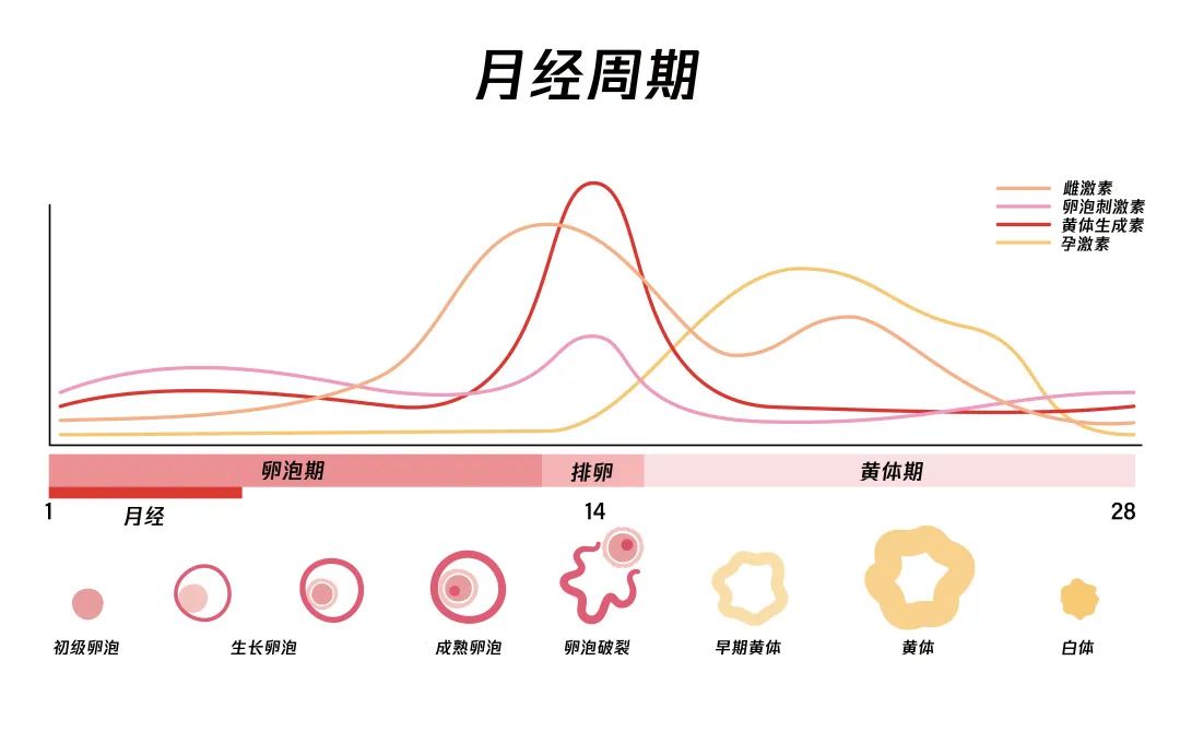 99年到2016胸部痛是什么原因