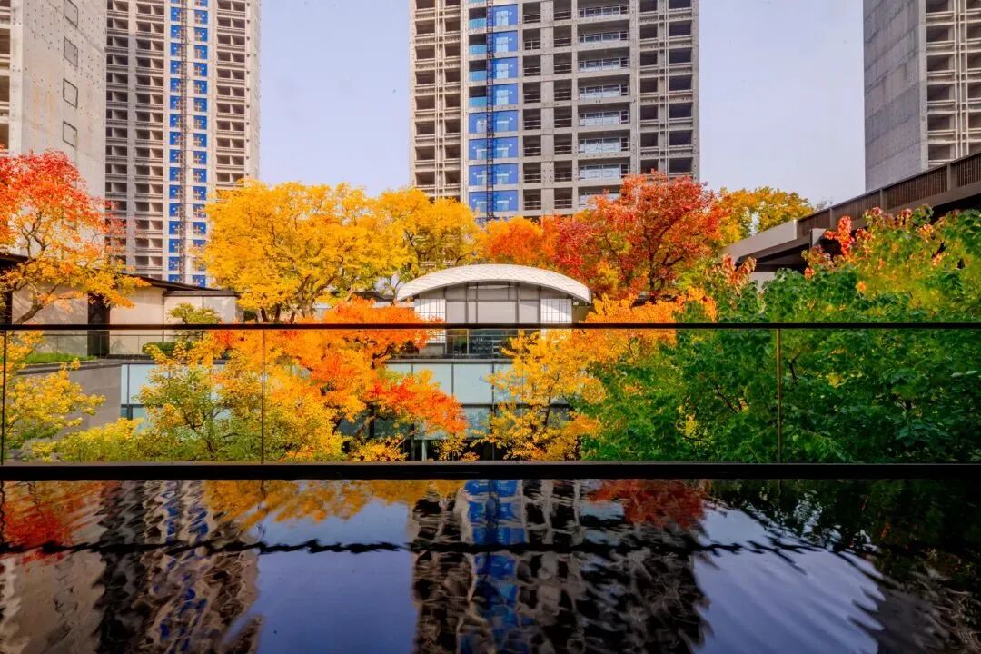 金基璟樾府从2022年11月份首开开始算起,金基璟樾府去化周期已经超过1