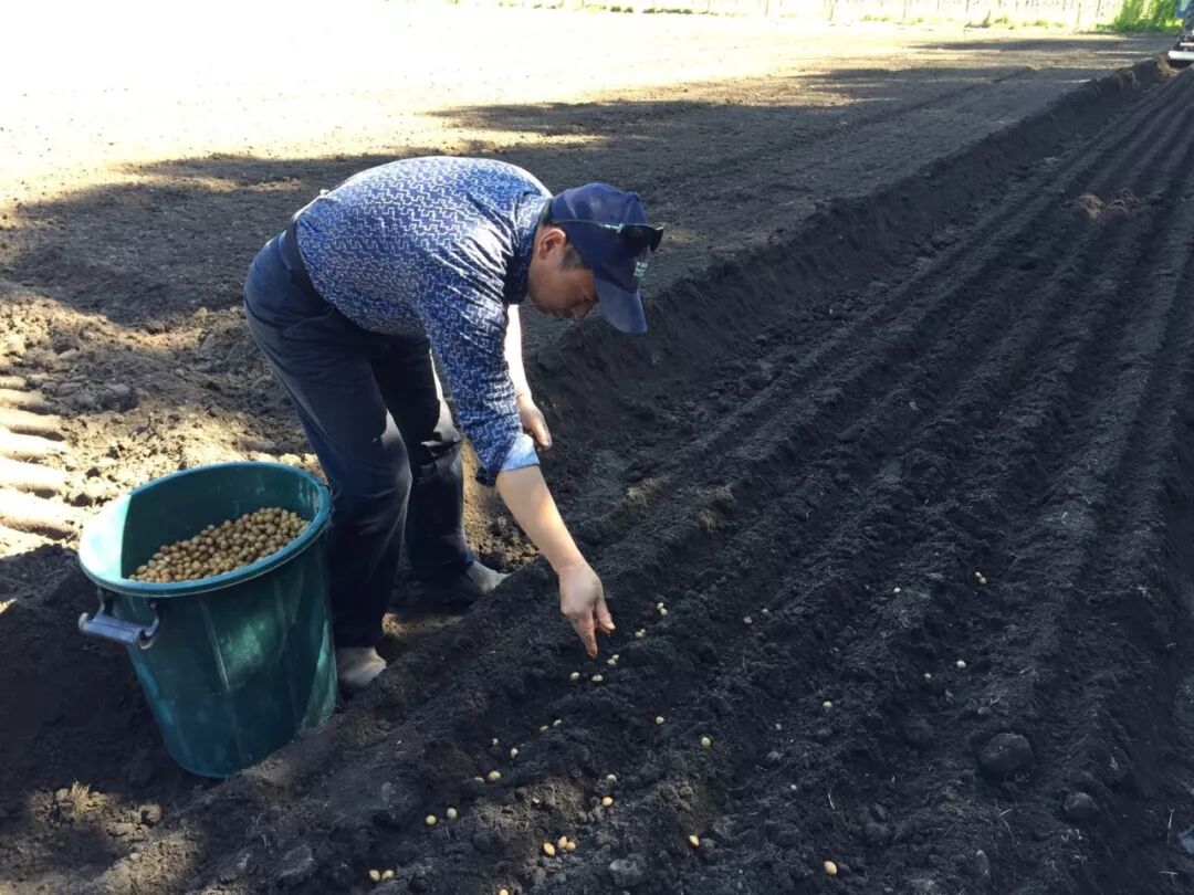 创业移民在新西兰创业容易么？请看张先生夫妇的故事