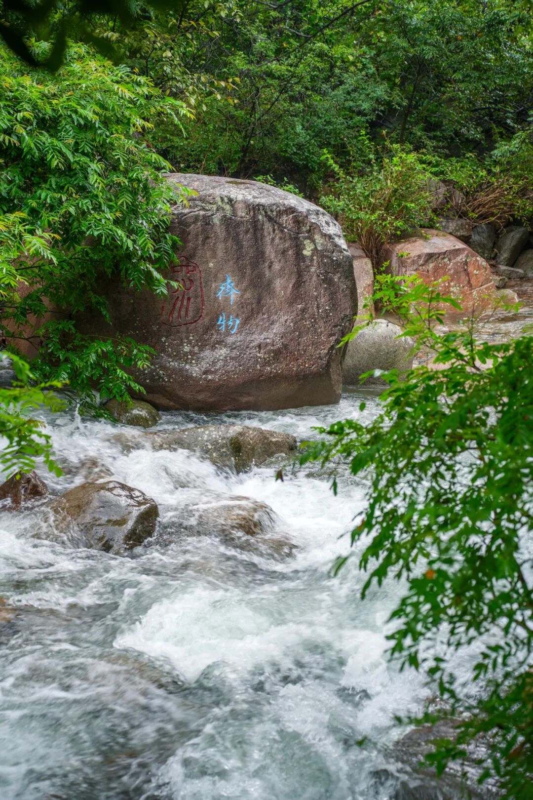 雨后崂山迎盛景