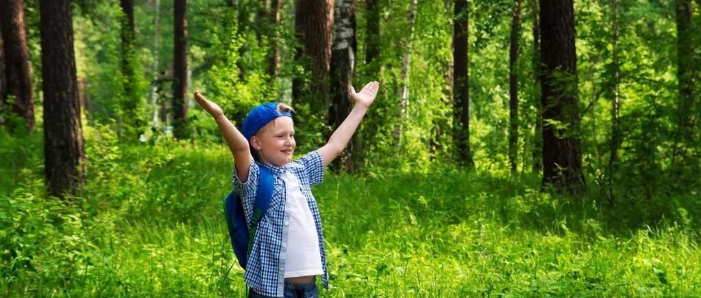 甲醛挥发长达15年？这个日本博士团队研发的“小盒子”，解决了国际难题！