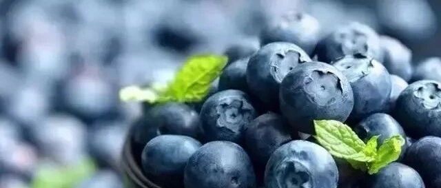 人类五大健康水果之一，浆果中的“皇后”，原来背后隐藏着。。。