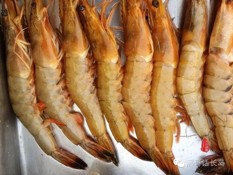 黄哨子虾,在上世纪50-80年代秋季大战渤海湾的汛期,捕捞的大对虾网中