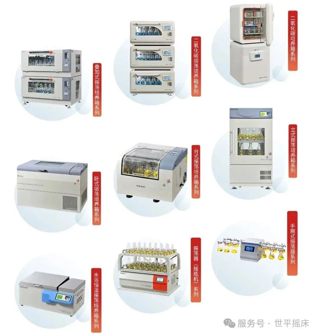 有朋自遠方來——多國客戶來訪我司，國際合作版圖再添新篇!