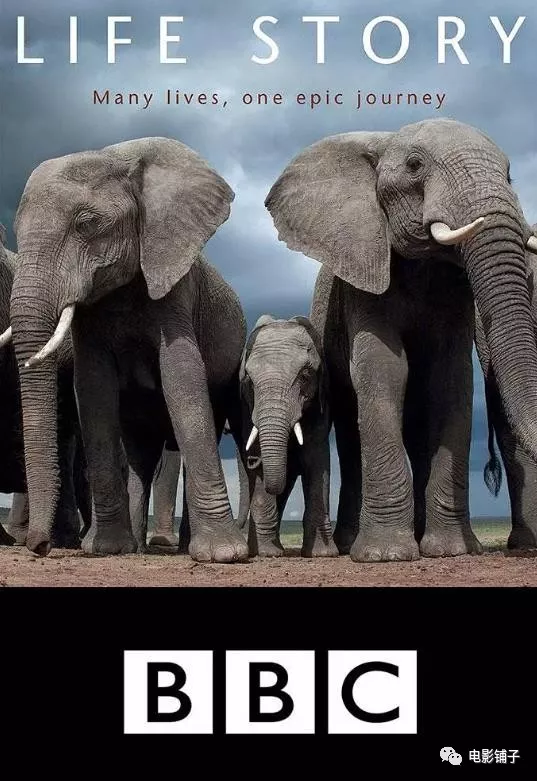 1526279517431373.jpg